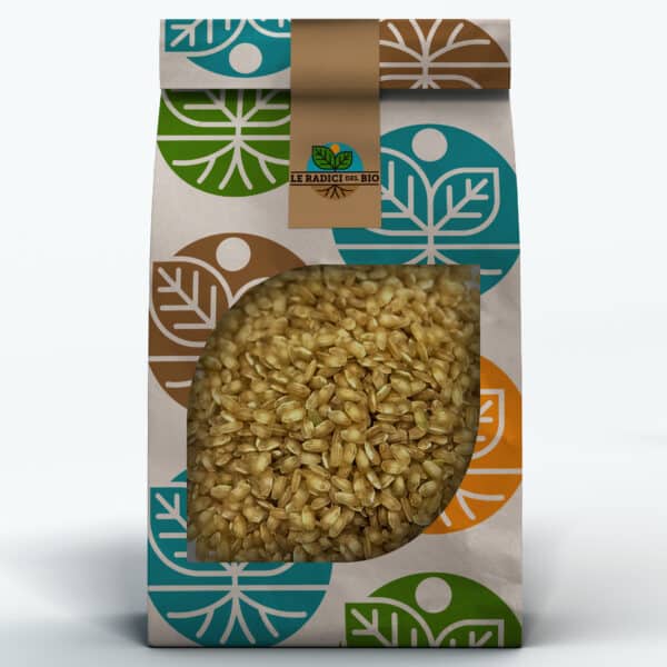 Riso Chinese Integrale Bio sfuso 100 g