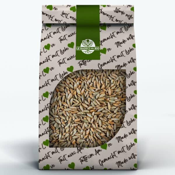 Segale In Grani Bio sfusa 100 g